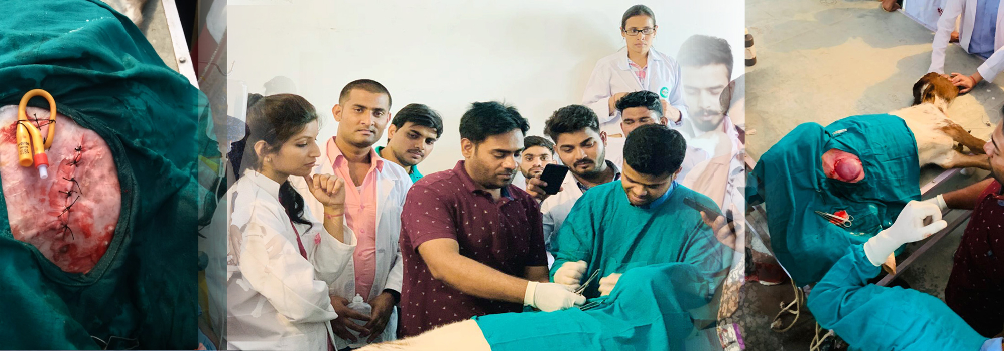Education Tour