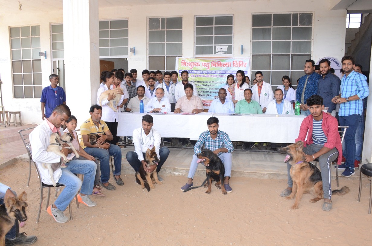 World Veterinary Days