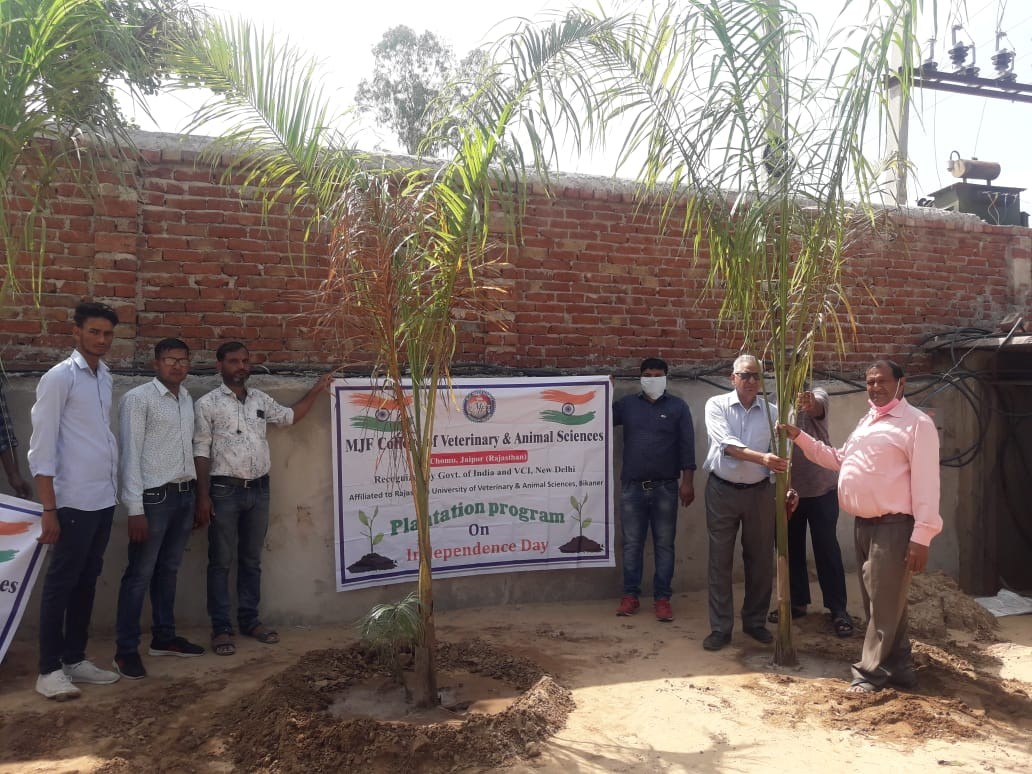 Tree plantation at MJFCVS on the occasion of 75th Independence Day celebration